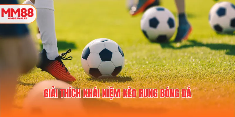 Giải thích khái niệm kèo rung bóng đá