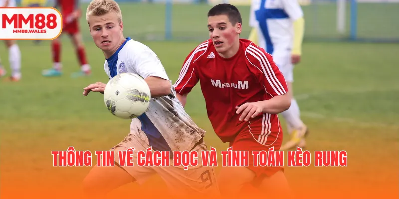 Thông tin về cách đọc và tính toán kèo rung